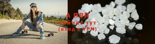ПСИЛОЦИБИНОВЫЕ ГРИБЫ Белоозёрский