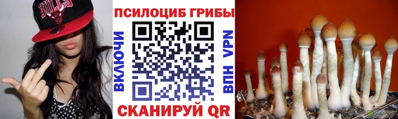 Псилоцибиновые грибы Psilocybine cubensis  Шумиха 