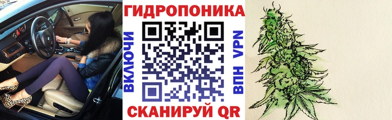 Шишки марихуана Ganja  Шумиха 